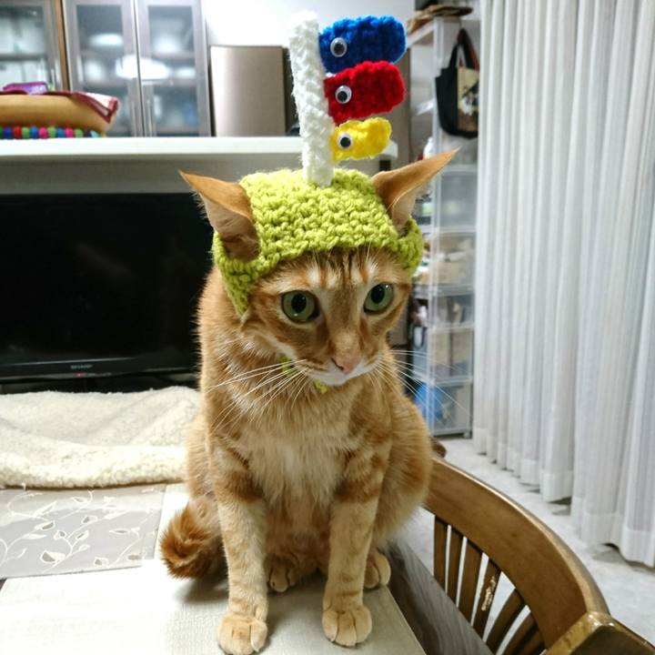 644546b9 844e 49b0 9894 b7a2d0c2b5f2 1557058672687