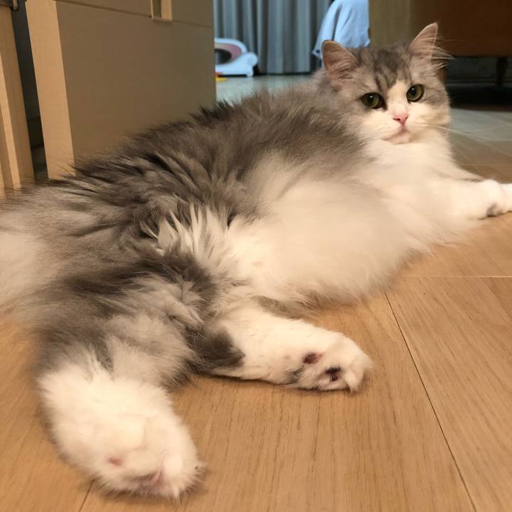 644566f8 215d 423d 83f2 0b6f011c2aba 1569840980088