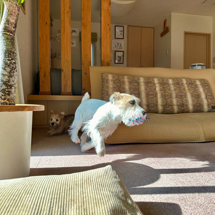 64456ade ec7a 4606 a740 722ed69638db 1701637577749