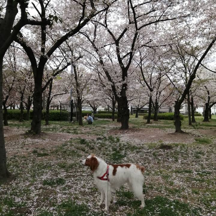 64457ce0 f005 40ee a0e4 1cf7722aa6f5 1617363466818