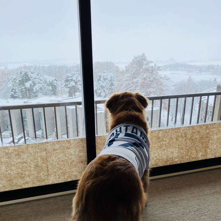 64458ffb e122 4c22 aa02 87ffe2d60bd6 1733660161626