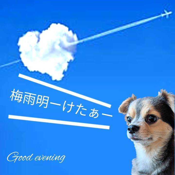 6445a718 eae8 444e a11a 49b1636685e6 1596093630863