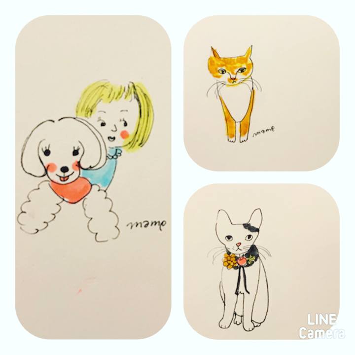 6445aa56 77d8 4012 9b1c e43f17049d91 1605897154500