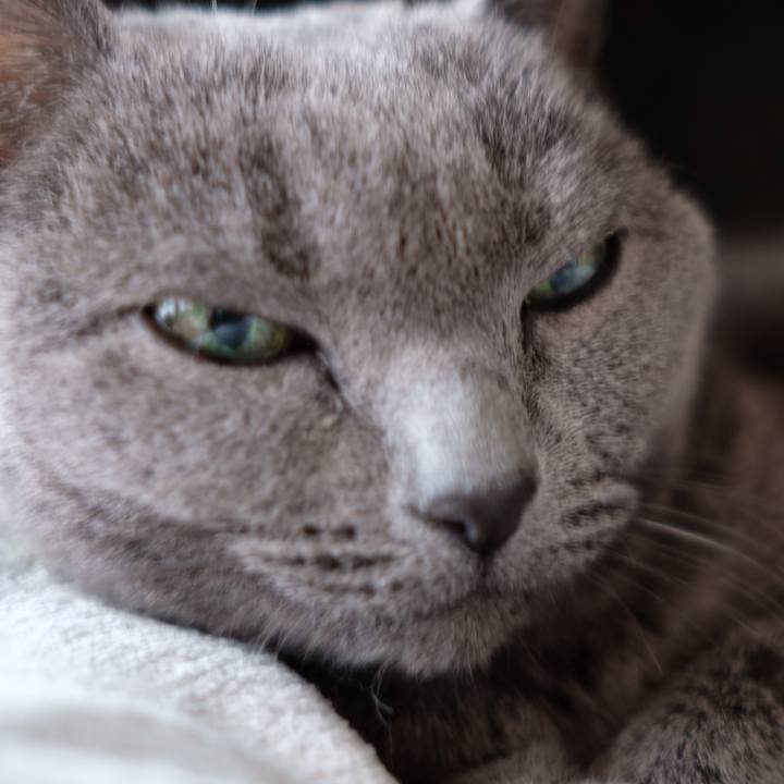 6445bb50 e5b5 4fcb 9f78 5ca80d5f7876 1574766856494