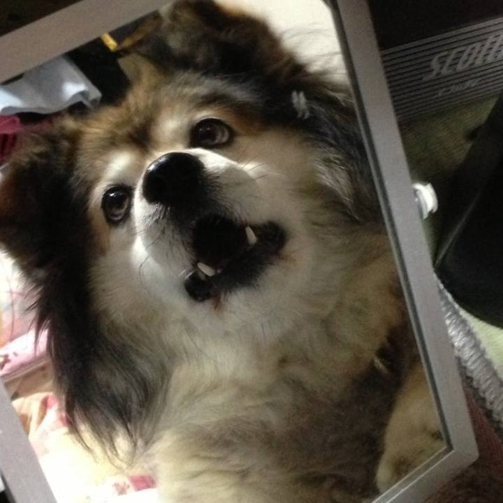 6445eca4 5fc2 48d9 a688 dee868f86b28 1659328038115