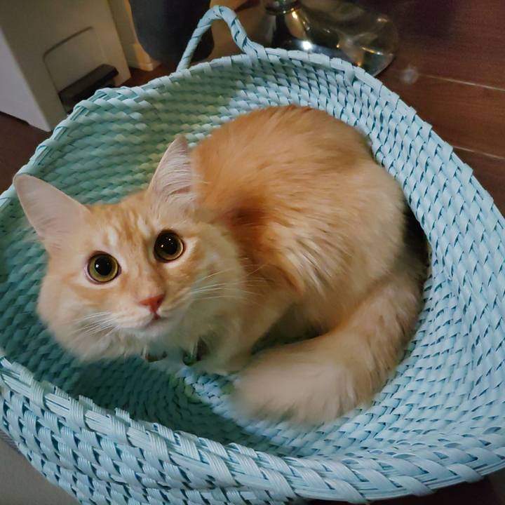 64460a57 2296 4b18 b168 239766282ccd 1697119535455