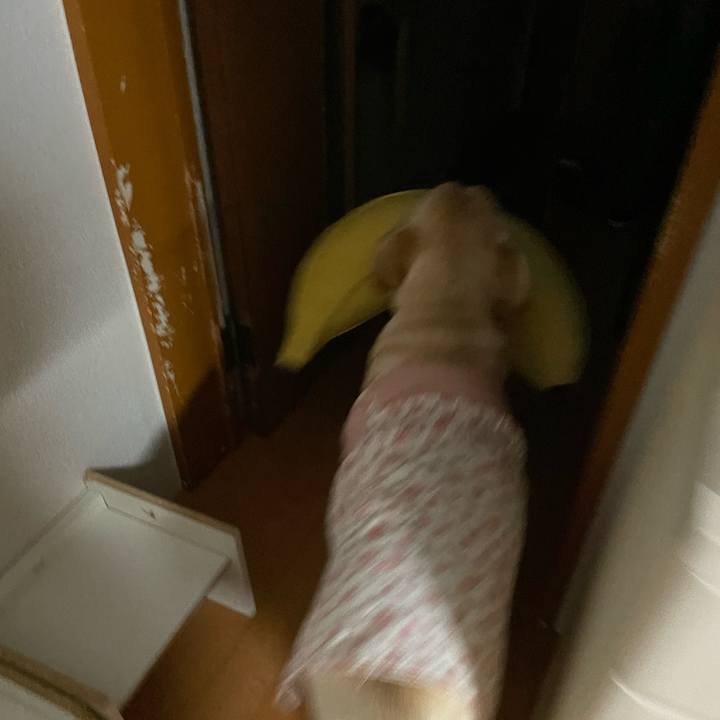 6446708e a533 44c9 9479 394c22536b6c 1640037566705