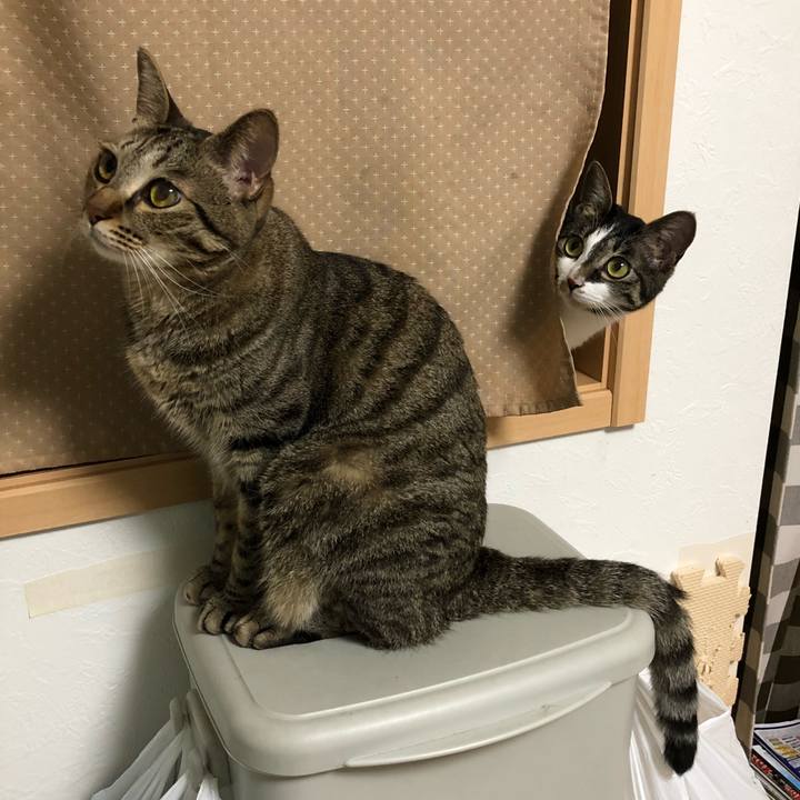 64467fc9 f495 4b5c 9304 754414f1d19c 1530130069233