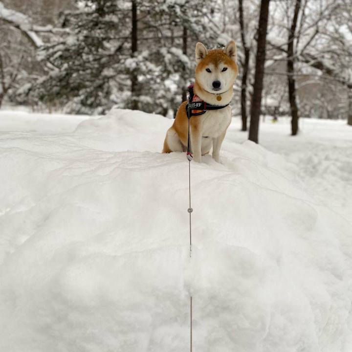 64468826 f68d 4baa b6f4 4dbab005280f 1643508691386