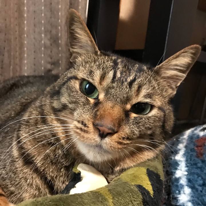 64469332 4be8 4320 ac66 880a75519374 1662812320209