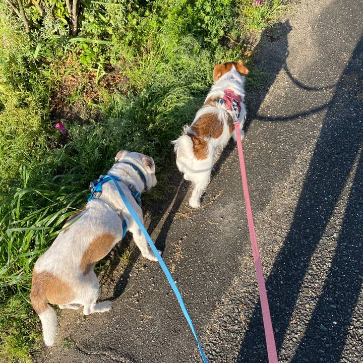 6446c039 e1c5 4a5c ad57 99586292d414 1713996506234