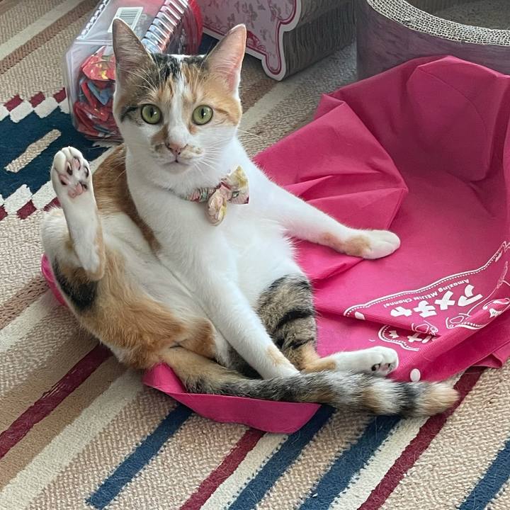 6446c2fa 7253 43ed a542 5a825763f4db 1632357007950