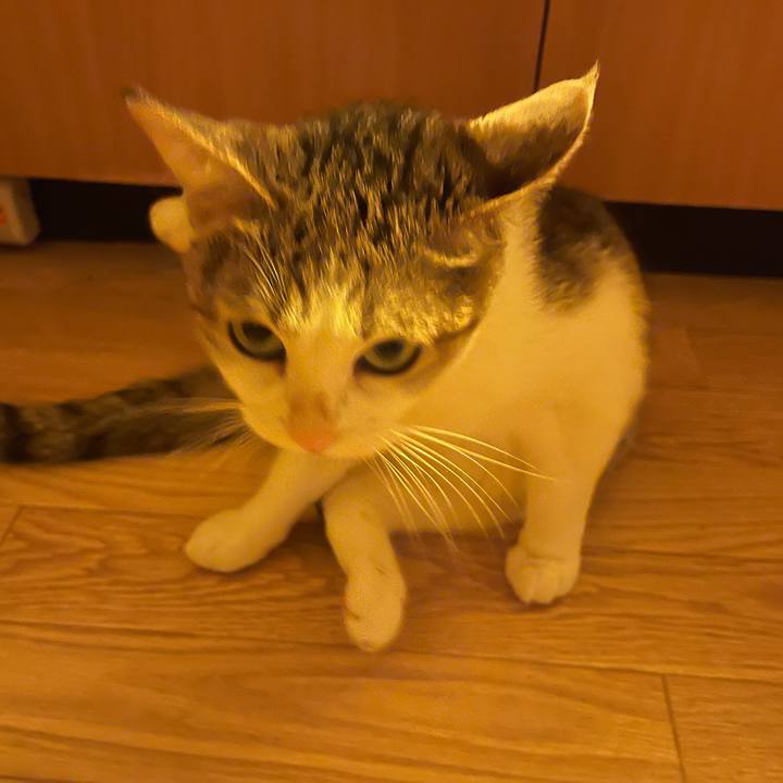 6446f981 f25e 43b3 8a38 d93c612830db 1629193176518