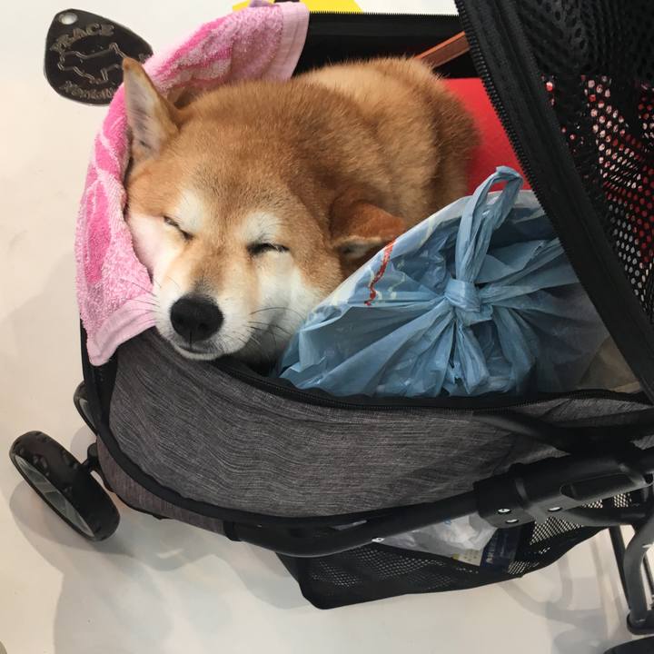 64475d18 5a28 4877 bd99 72496722f67e 1566631511916