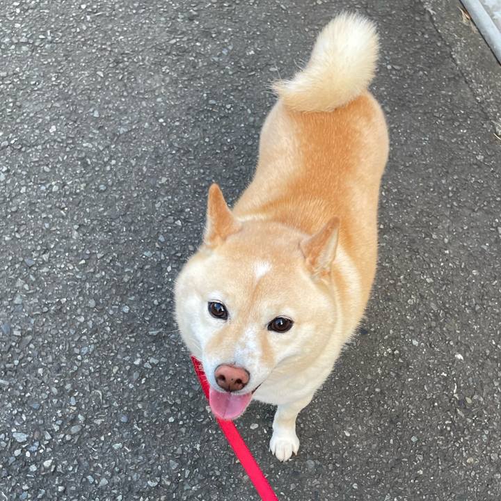 64477629 e9f4 49cd a3f6 342357139db0 1691125823863