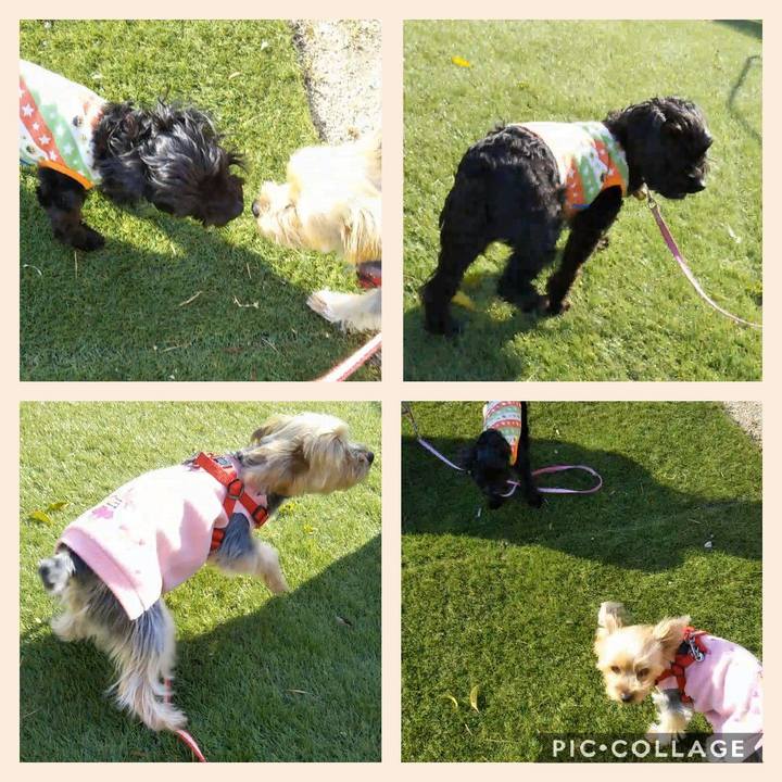 6447baef ab1c 47b7 8ffe d7ae3d454a00 1587208442723