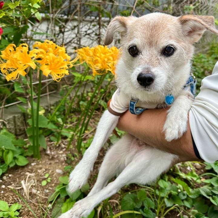 6447eb71 2fca 431c 8e4a 8b4f38b5badc 1759969527006