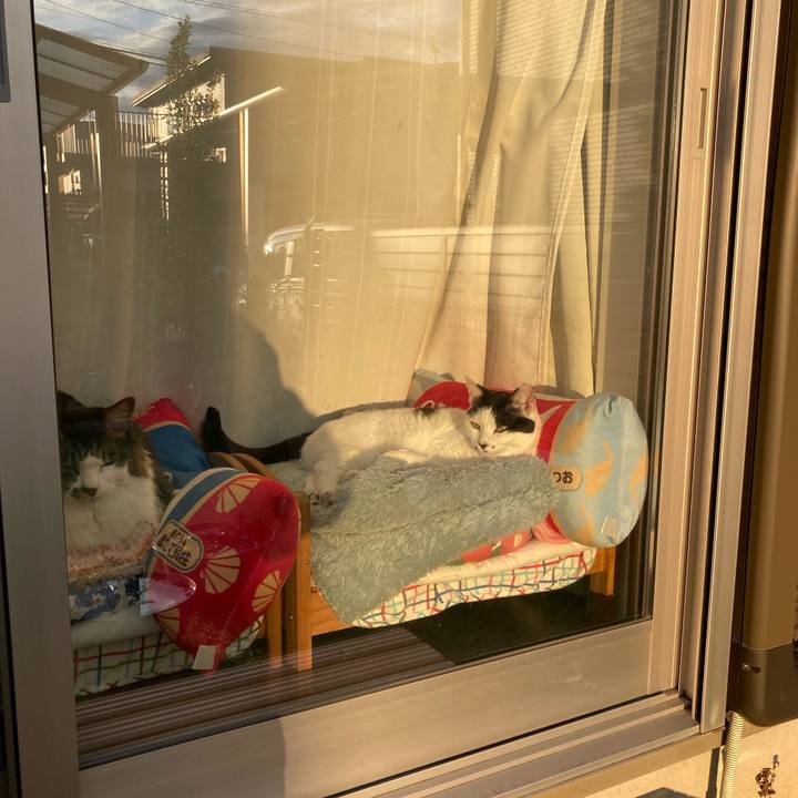 6447f2a6 68dc 4cdb 8fdf a6b9f5279bac 1764417348017