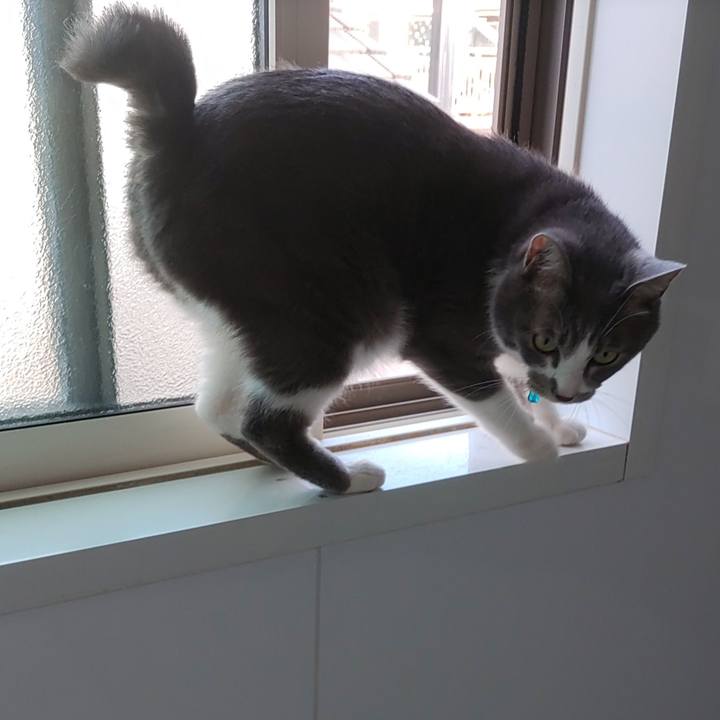 64481aa9 de91 450e bdbb a91ddb3fecc5 1691198379680