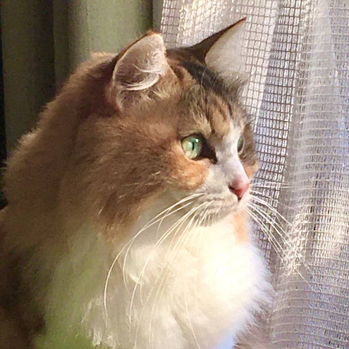 64485989 d653 4f7e bf48 c87303a587e0 1574755278377