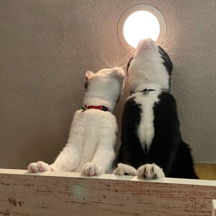 64486e37 7164 4cd5 9239 e497f2997ca6 1730210979455