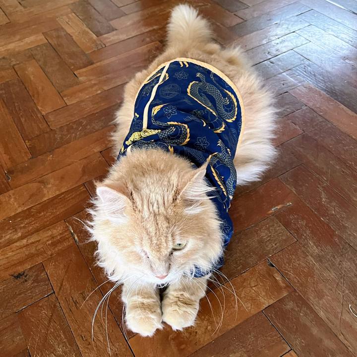 64487c21 d531 45fa 8c56 cb17e2a03145 1771300486336