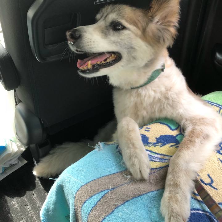 644881fb 2507 407f 9daf c7e840ea17e4 1534729905729