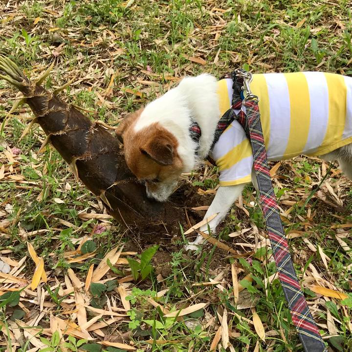 6448aab3 dd0b 4403 9dc3 b2146487dc29 1557622240213