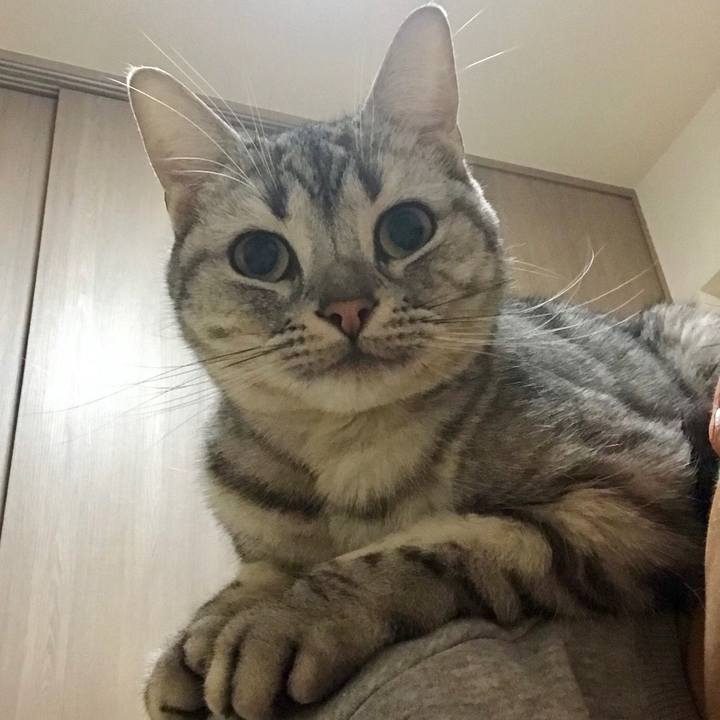 6448c55c ade8 455a 94da 124db87f5aee 1544520770635