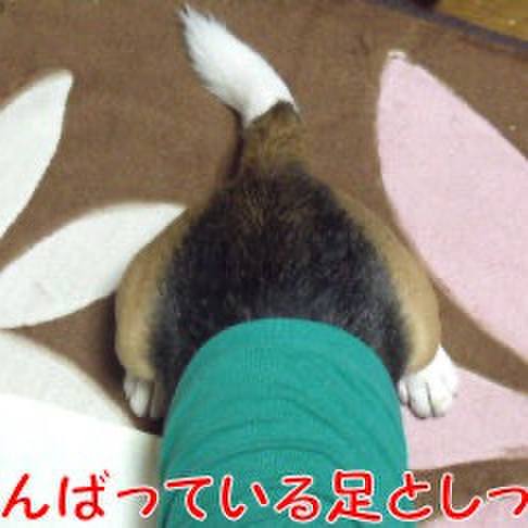 6448df54 8477 42ed 953c 58ea79b528fb 1716767410290