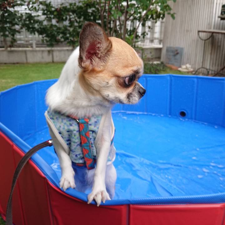 6448e874 3c44 4a48 beaf 80e71b880d1e 1596356199852