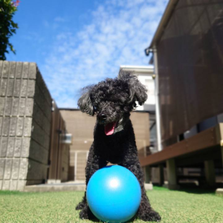 6449136d b54c 4f26 8fd3 1aef3d44f8c4 1759224478123