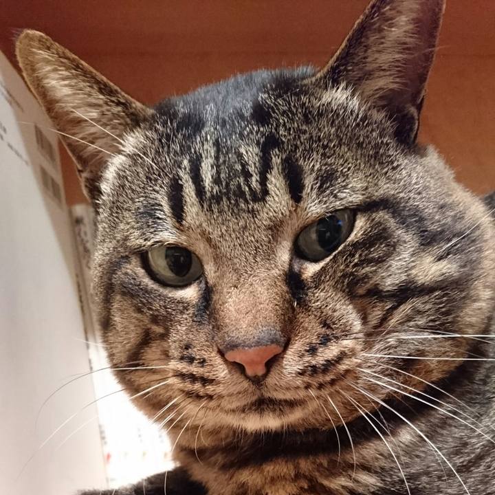 6449203f 1c67 4c72 9fce abaa1de12f10 1507883744173