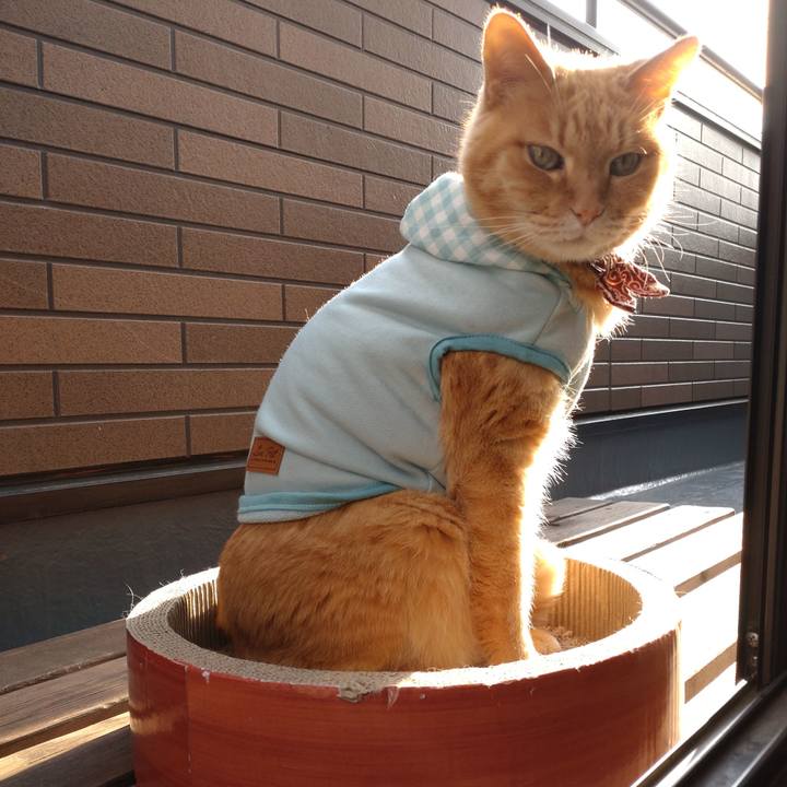 64496f6b d2ef 436b b427 77dd2fc27457 1648272154487