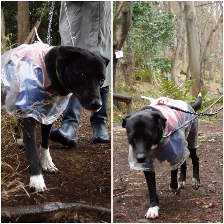 6449a96e 5c66 40a4 bb2f f2b7e3714d4f 1615160935385