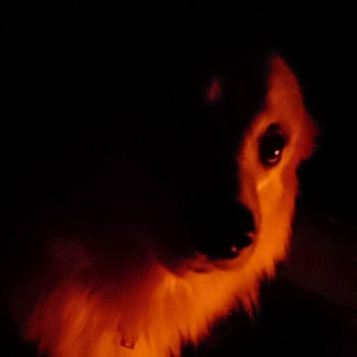 644a164a c018 40db b807 4c3acabc5108 1512247876925