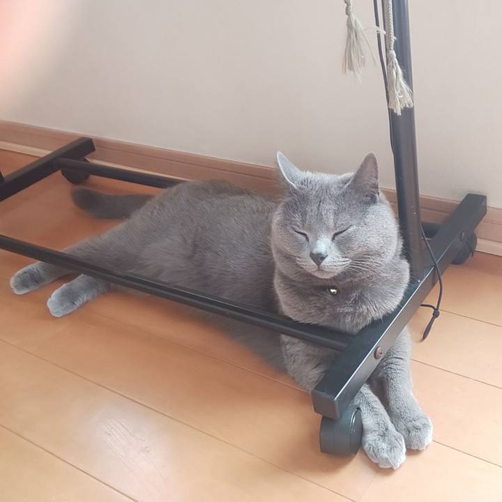 644a2a4a 2454 494e bce0 f2ac6bf32e4b 1559018097625