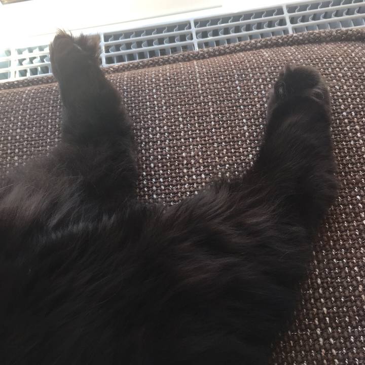 644a6be9 d93b 4e7f ae7f 5337c501f4d0 1522412783255