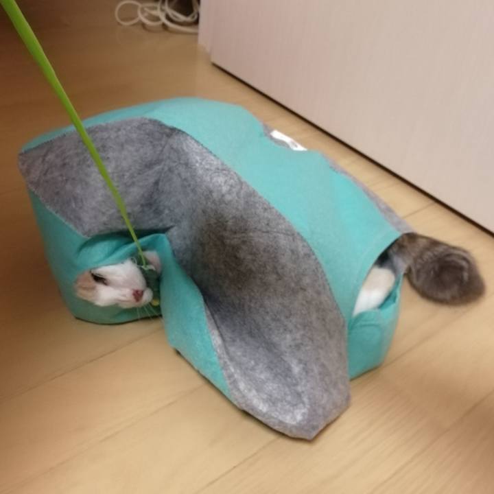 644a88e0 5182 46f4 9acf fa9a3b16a531 1570145401688