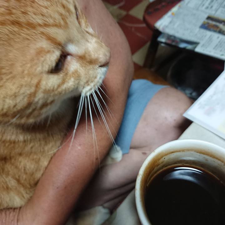 644ac0ba 9fd8 4201 a27a 4914689c6117 1596573415197