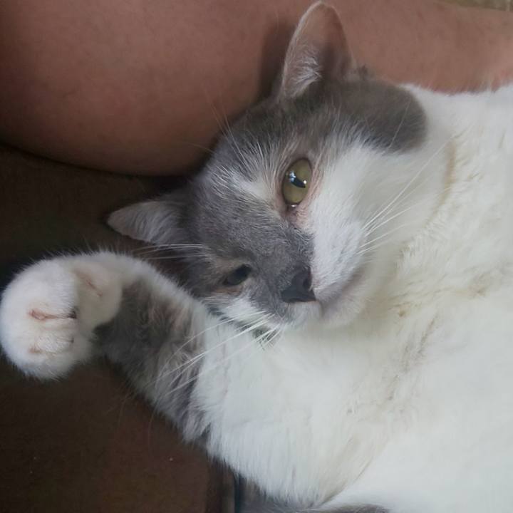 644aef88 7cd1 48f2 a060 87c597fb5929 1644168611418