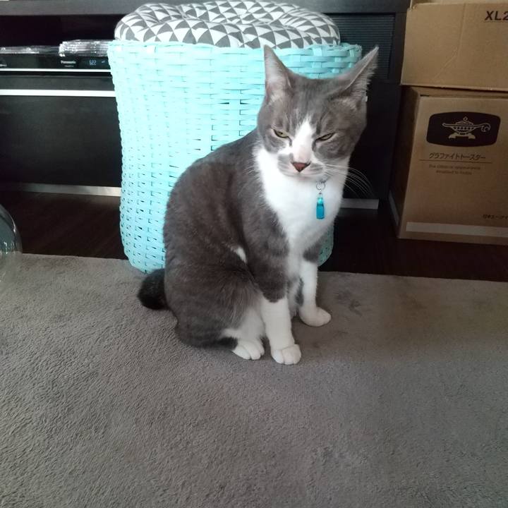 644af3c4 edde 44a0 ba4c b611b7b64a91 1618207090433