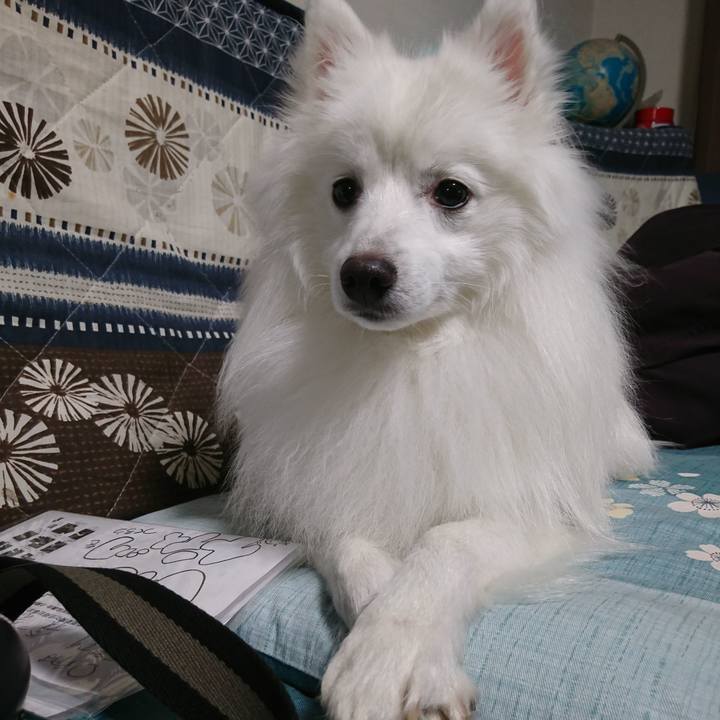 644b0d89 8837 41fe a0b7 791897de9e3a 1577592821831