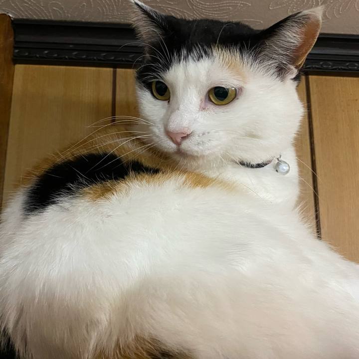 644b1735 5825 462d 9096 027e0f564a4f 1652360291205