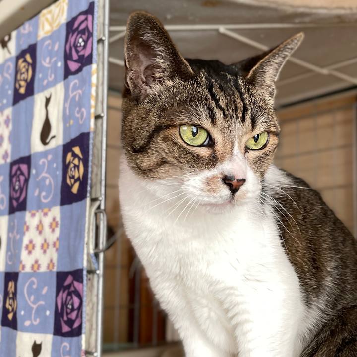 644b3def 8231 4025 aeff 4688a6ebf75d 1659655702245