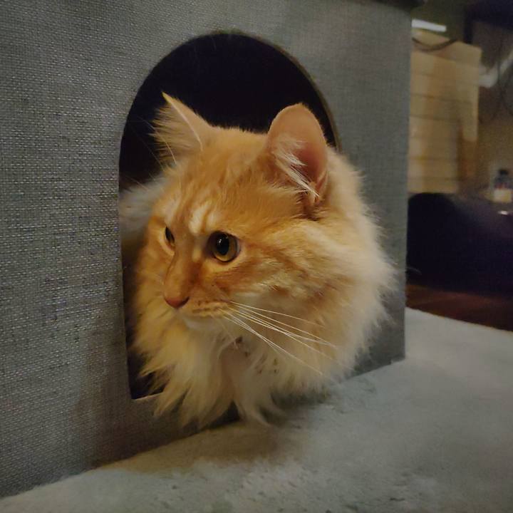 644b5e0a f80e 4756 ba42 5281a0c5613a 1677764015869