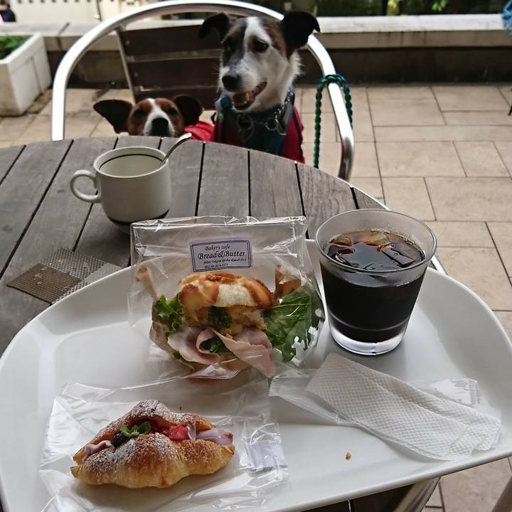 644b8959 9030 4ef5 93ed 78916390306c 1590562303650