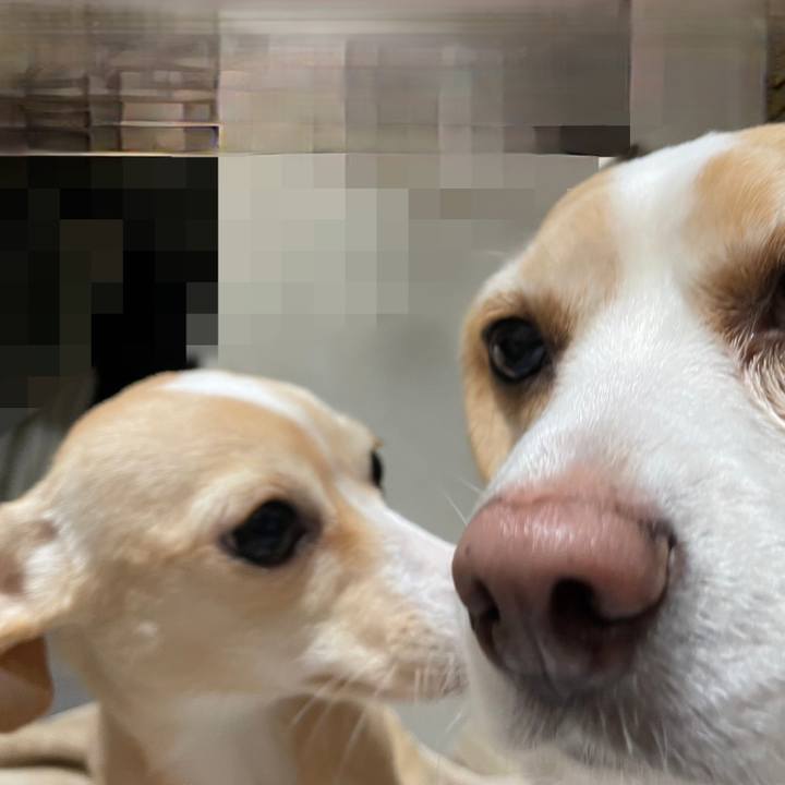 644b98d3 56c3 49c8 aa37 2295154812c7 1681871800833