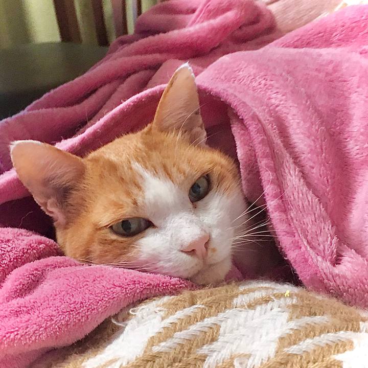 644bc1a9 89b7 4b97 86bb 35f43b45c476 1572922196039