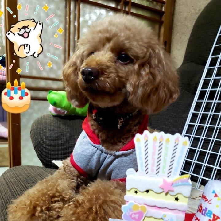 644be8c2 f775 405f 8a61 32bbf1ede5bb 1618658166604